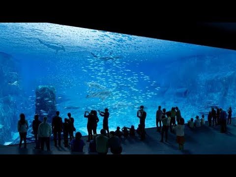 Visite à Nausicaa - Le plus grand aquarium d&#039;Europe à Boulogne-sur-mer