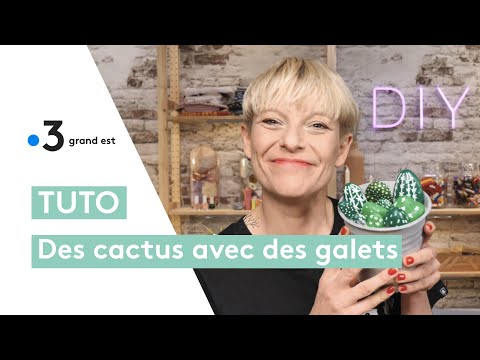 Tuto cactus : peindre des galets pour une déco qui ne manque pas de piquant