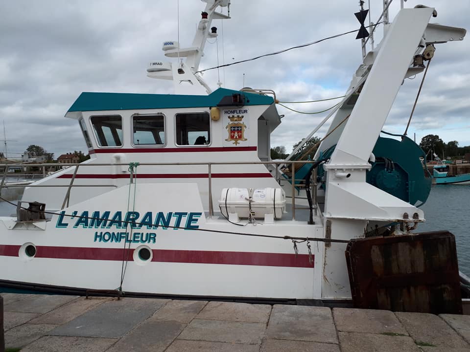 L'Amarante Honfleur, balades en bateau