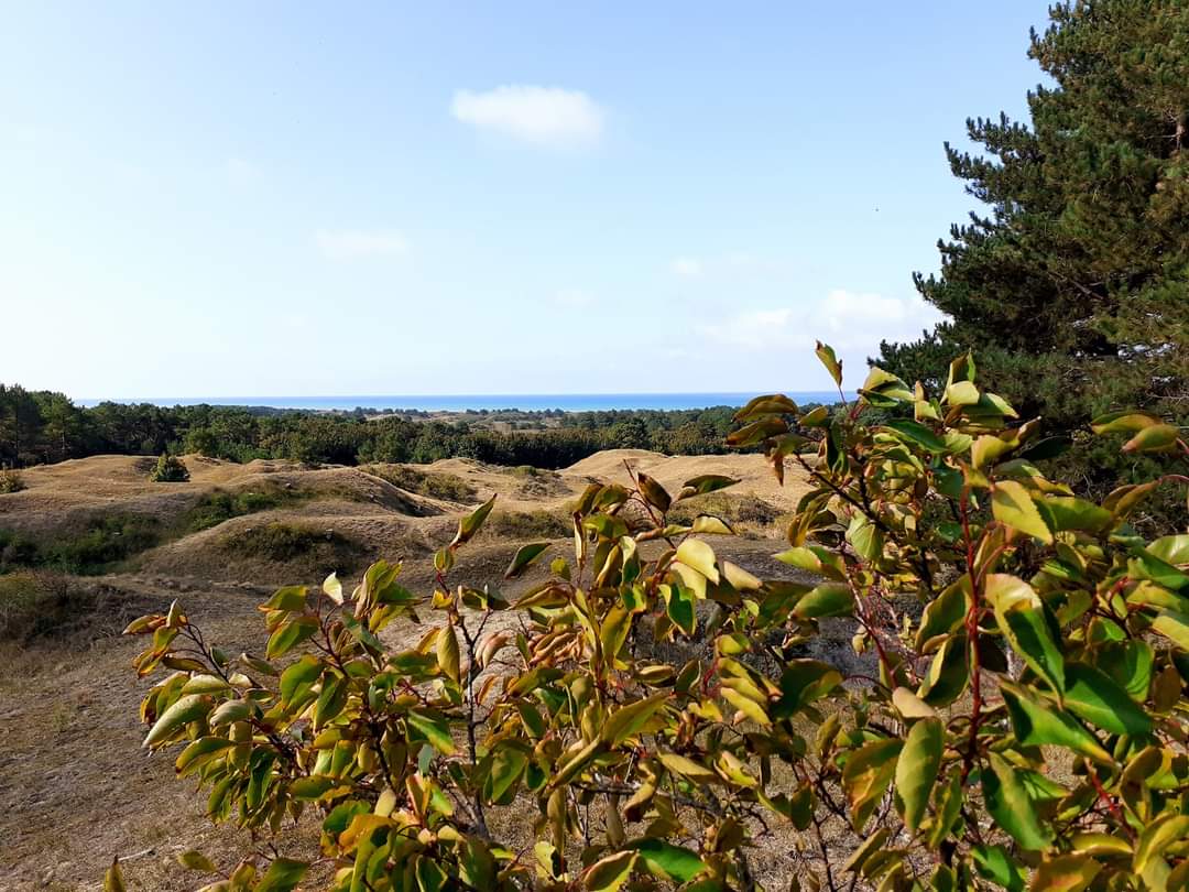 Panorama sur les dunes de Saint Frieux à Sainte-Cécile