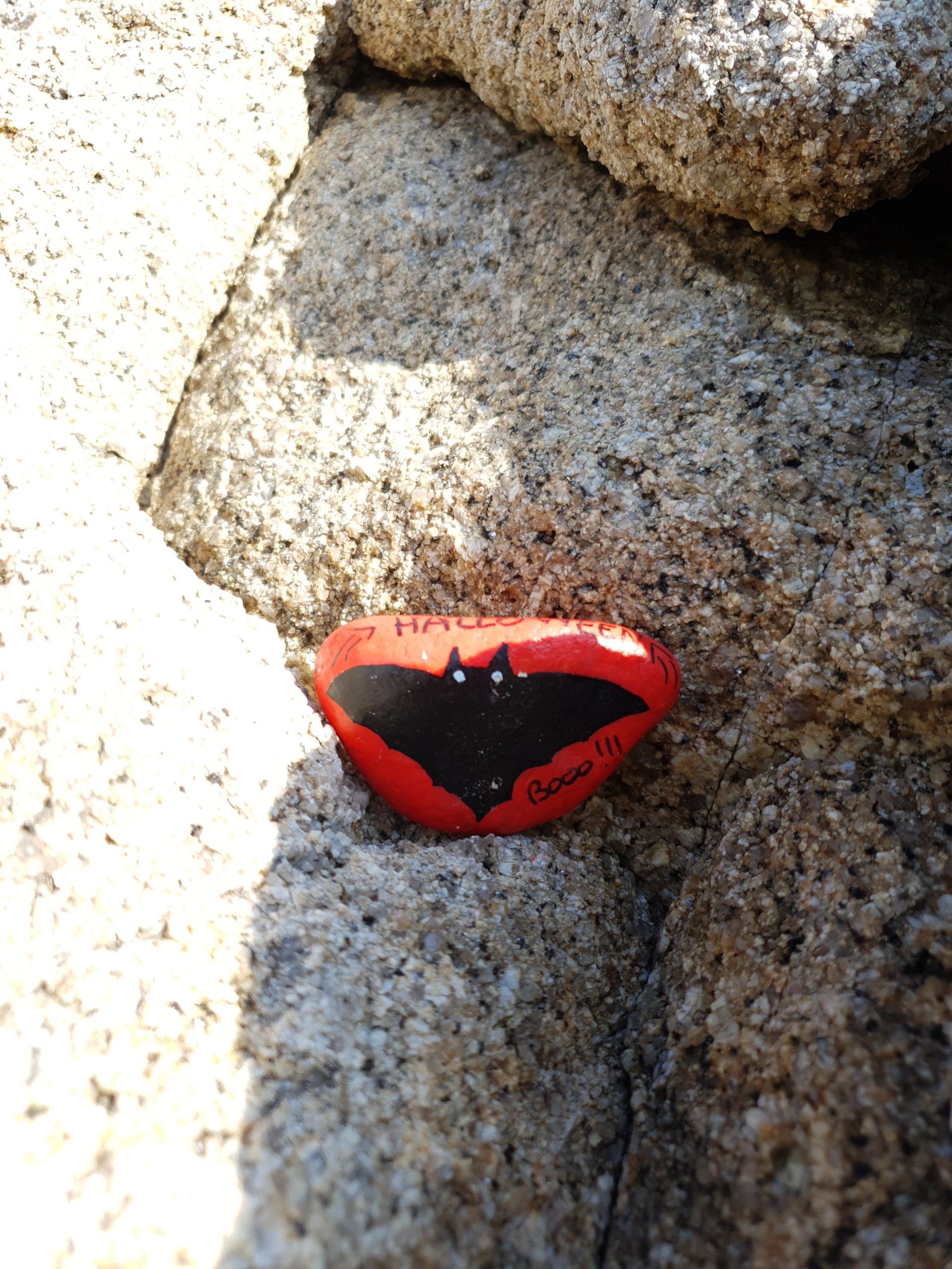 Le galet voyageur "Super Chauve-souris Batman" est déposé dans le creux d'un rocher face à la Méditerranée.