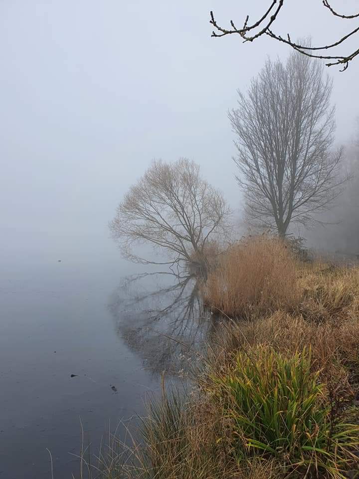 La rive dans la brume de l'hiver