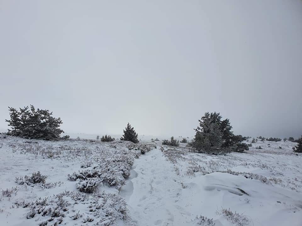 Le Mont Lozère en hiver