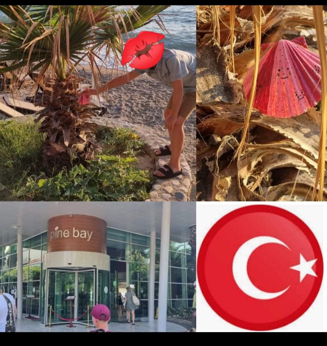 Galet rouge chat sourire départ à l'étranger en Turquie 