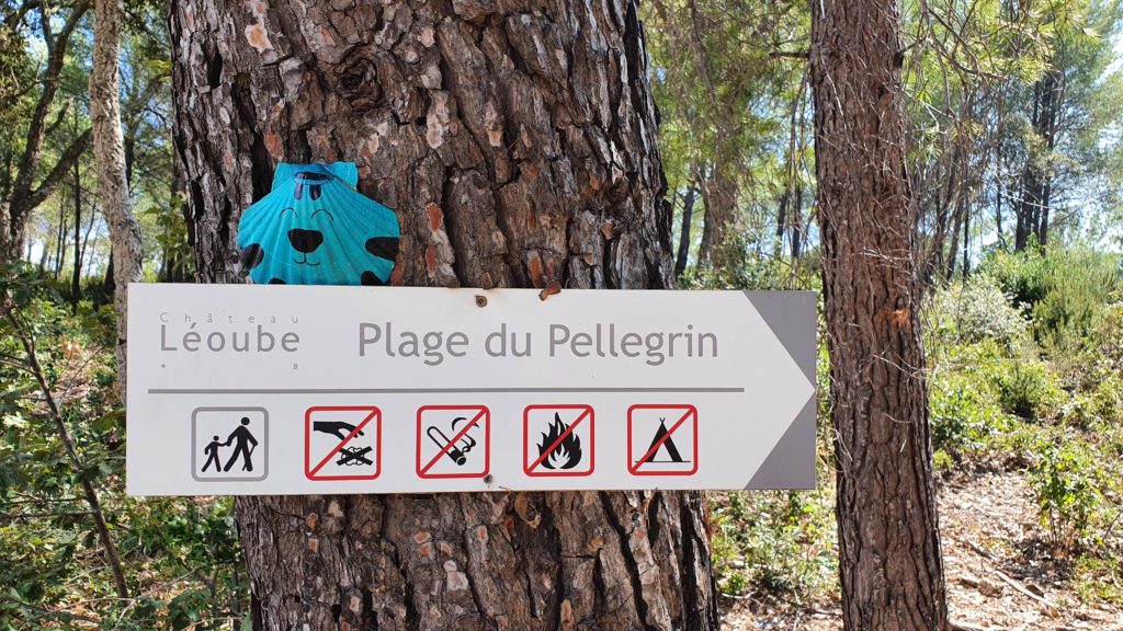 Coquillage peint Petit chat bleu déposé au dessus du panneau signalisation - Château Léoube Plage de Pellegrin (Bormes-les-Mimosas