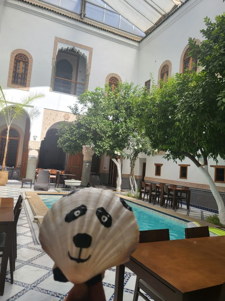 
Coquillage peint Mr Panda dans un Riad