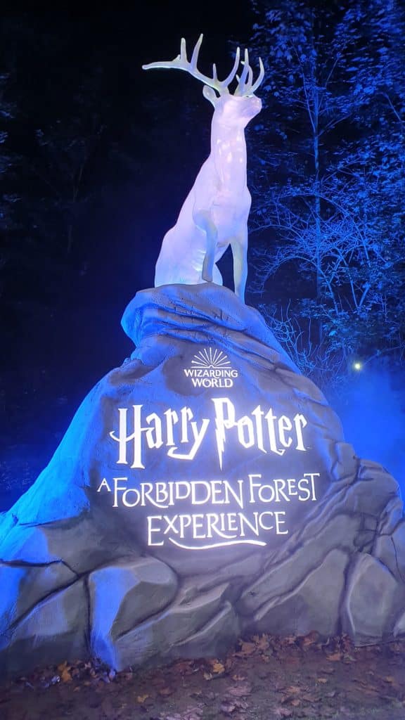 Wizarding Word - Harry Potter, a forbidden forest experience