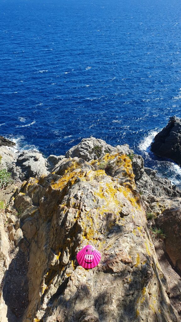 La coquille décorée "Miss Porcinet" est déposée face à la mer Méditerranée.