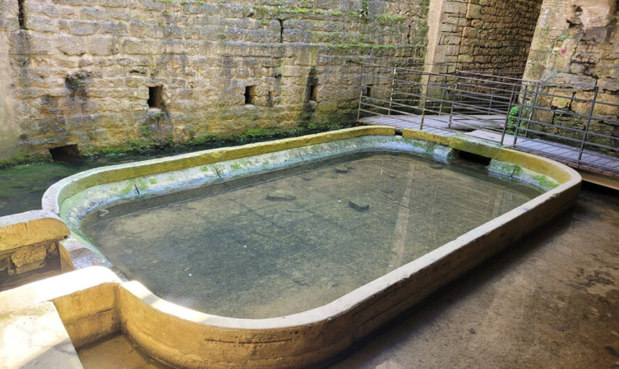 Coquille « i » à la fontaine des lépreux de Dole
