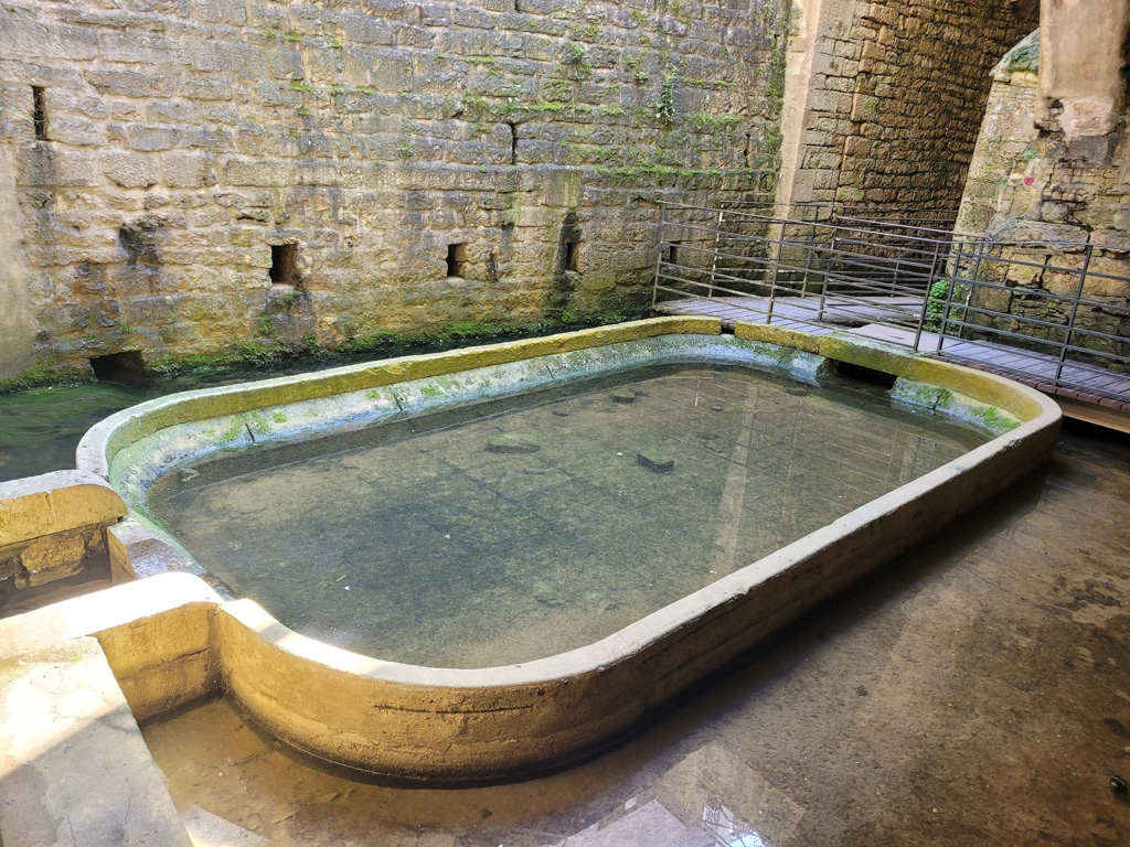 Coquille « i » à la fontaine des lépreux de Dole