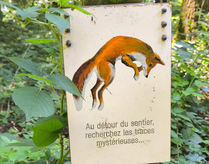Coquille D au cœur du parc animalier jurassien